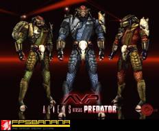 Heavy Predator