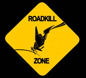 roadkill zone